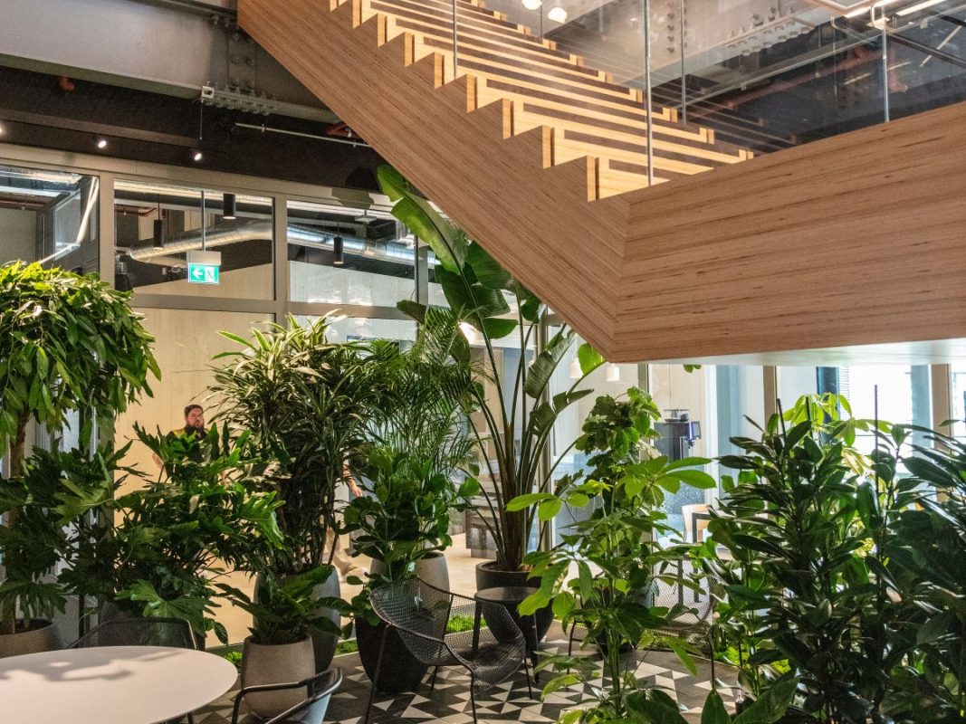 Sustainably Sourced Timber